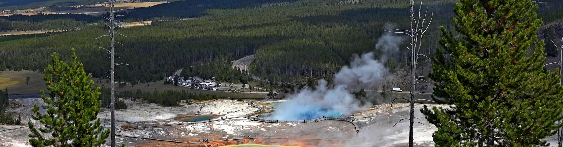 Экологические исследования